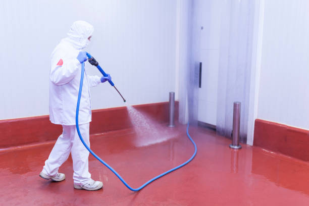 Spring Cleaning in Princess Anne, MD