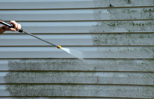 Boat and Dock Cleaning in Princess Anne, MD